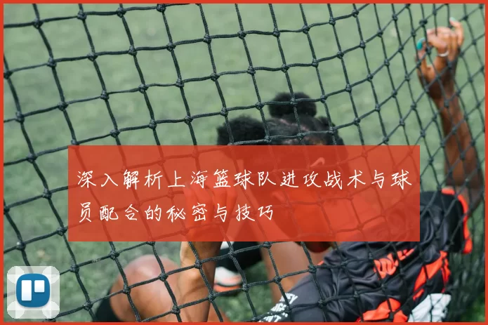 深入解析上海篮球队进攻战术与球员配合的秘密与技巧